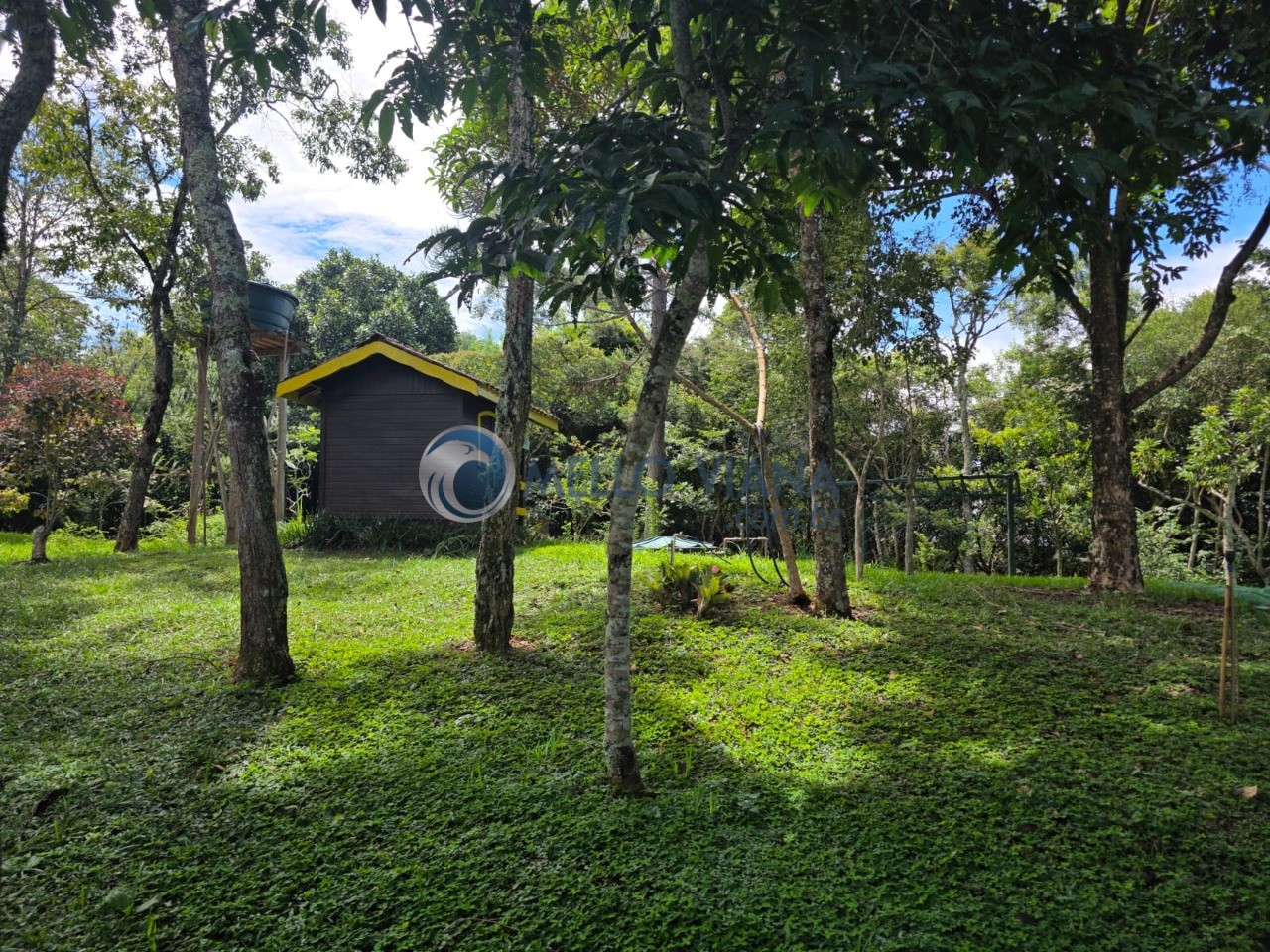 Sítio, 1 quarto, 3374 m² - Foto 2