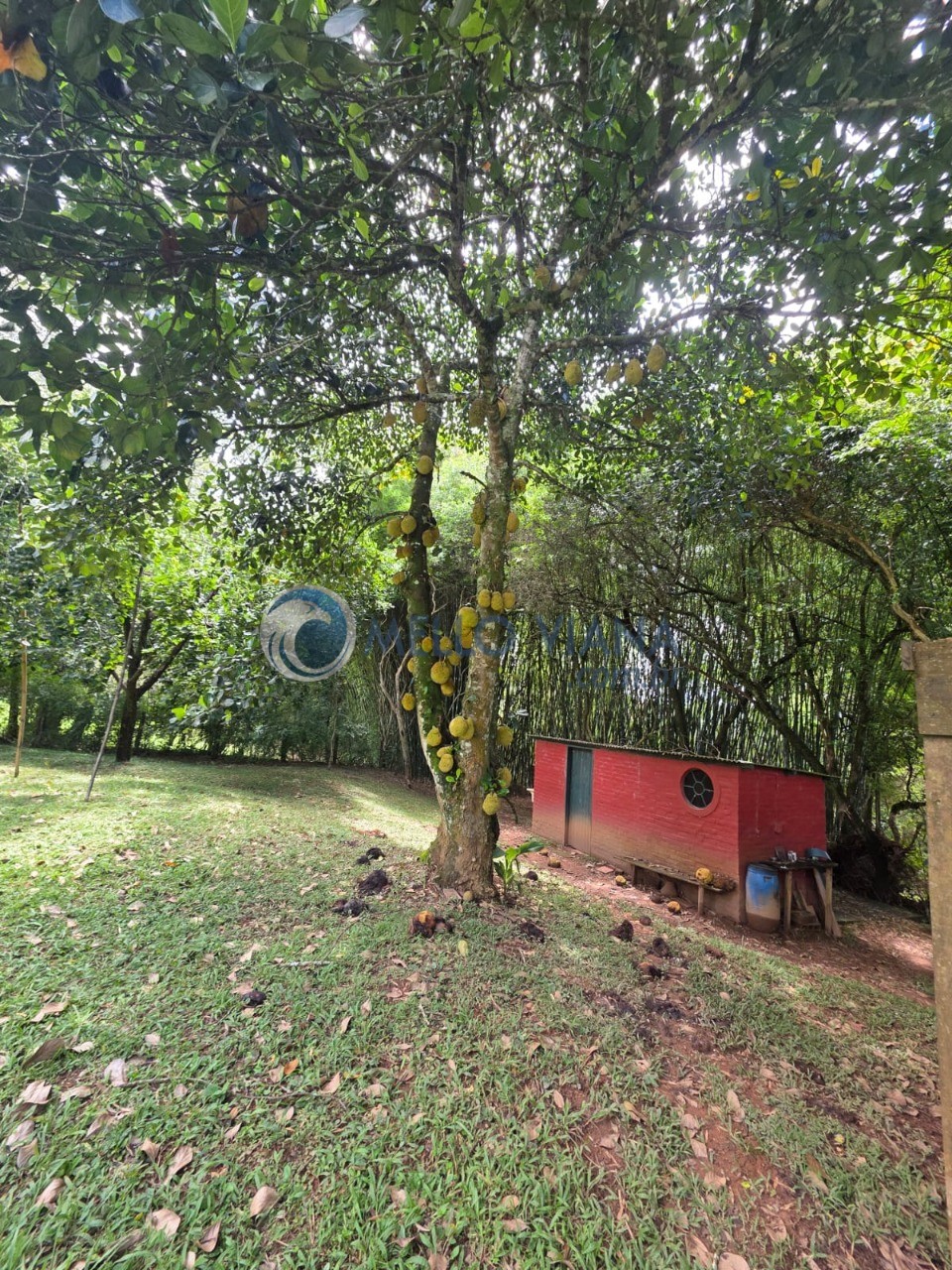 Sítio, 1 quarto, 3374 m² - Foto 10