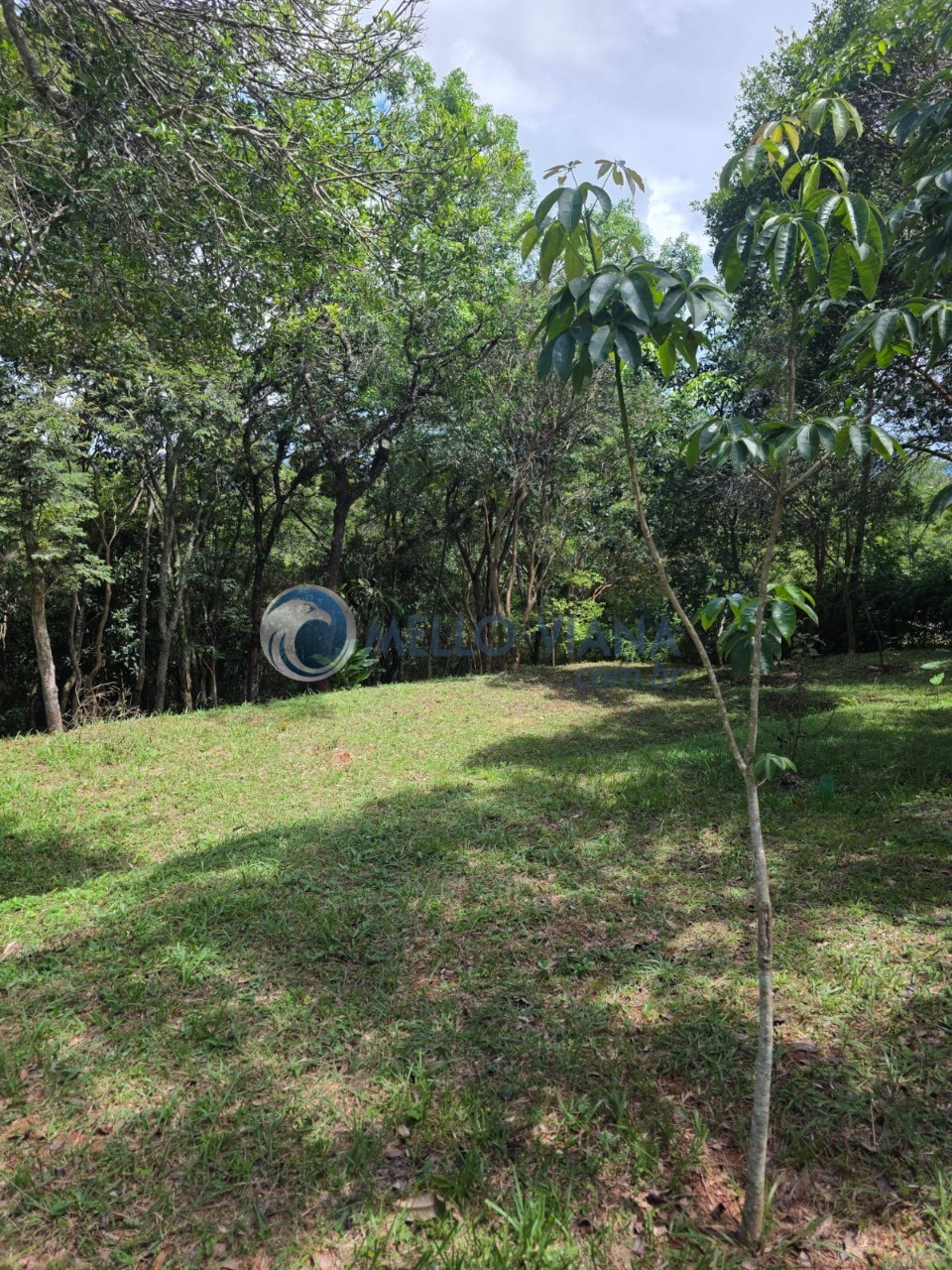 Sítio, 1 quarto, 3374 m² - Foto 5