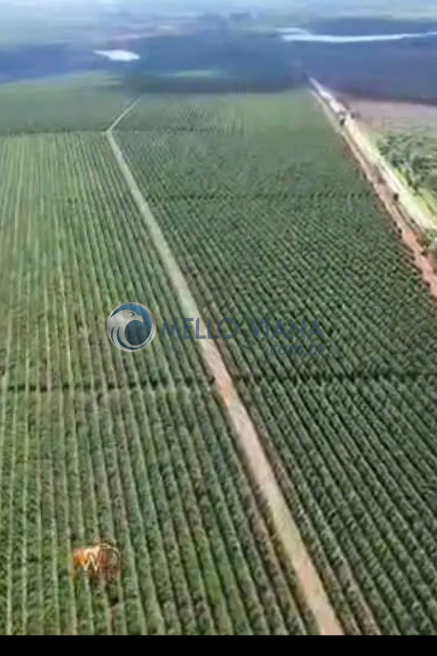 Fazenda, 475 m² - Foto 3
