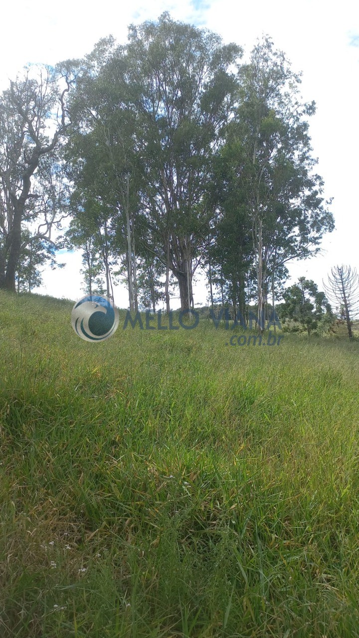 Sítio, 6 m² - Foto 24