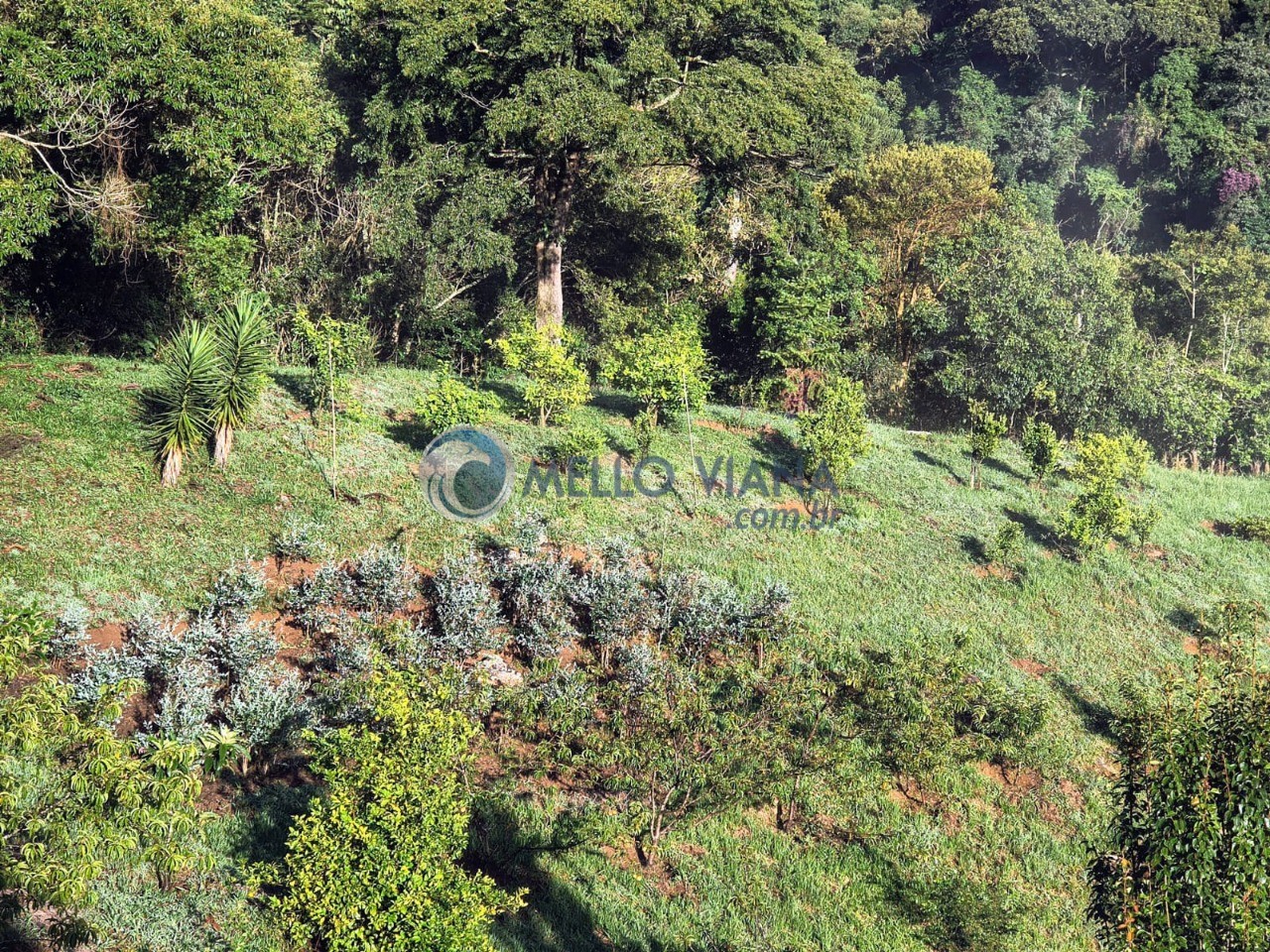 Fazenda, 3 m² - Foto 16