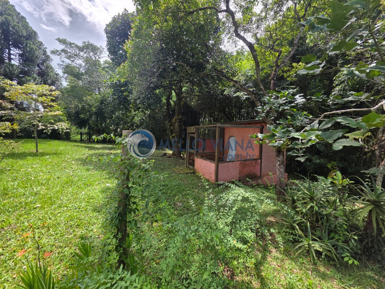 Sítio, 1 quarto, 3374 m² - Foto 19