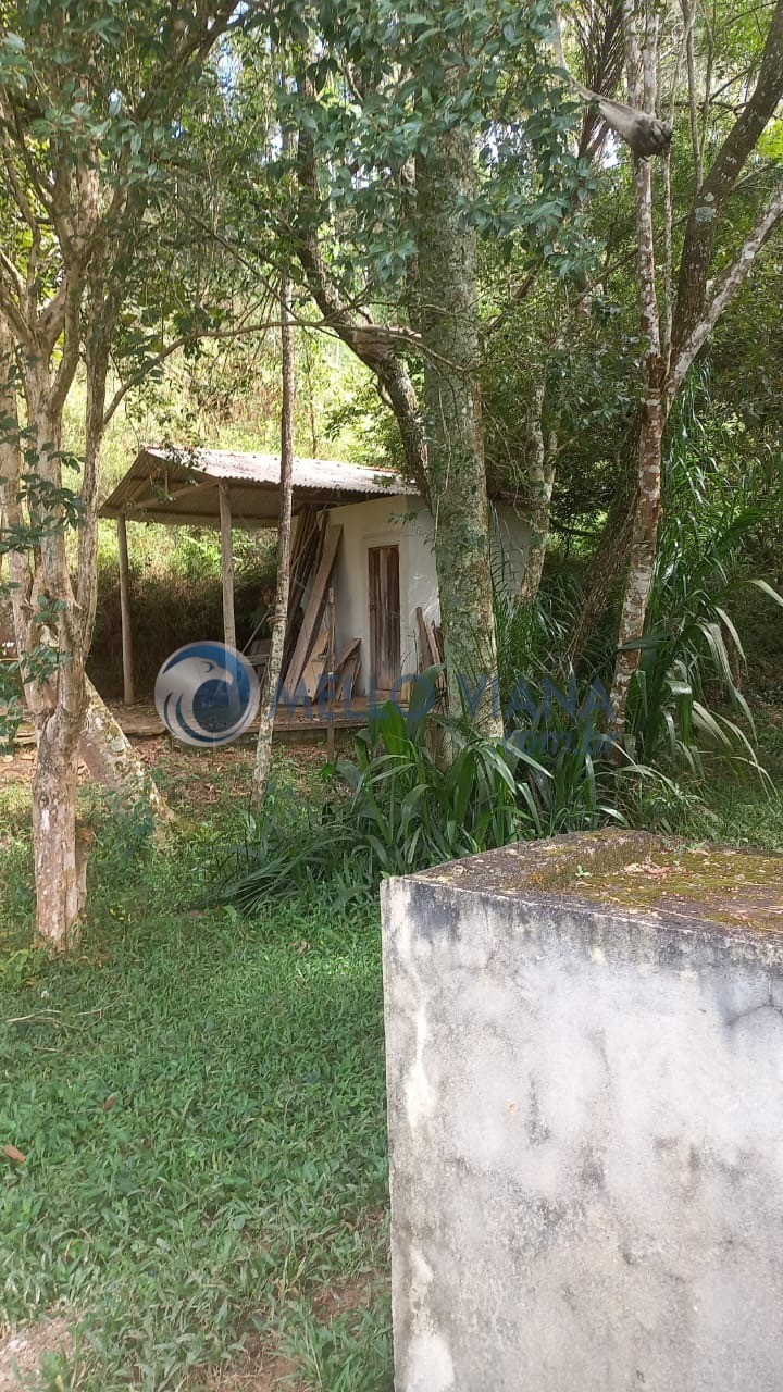 Sítio, 6 m² - Foto 4
