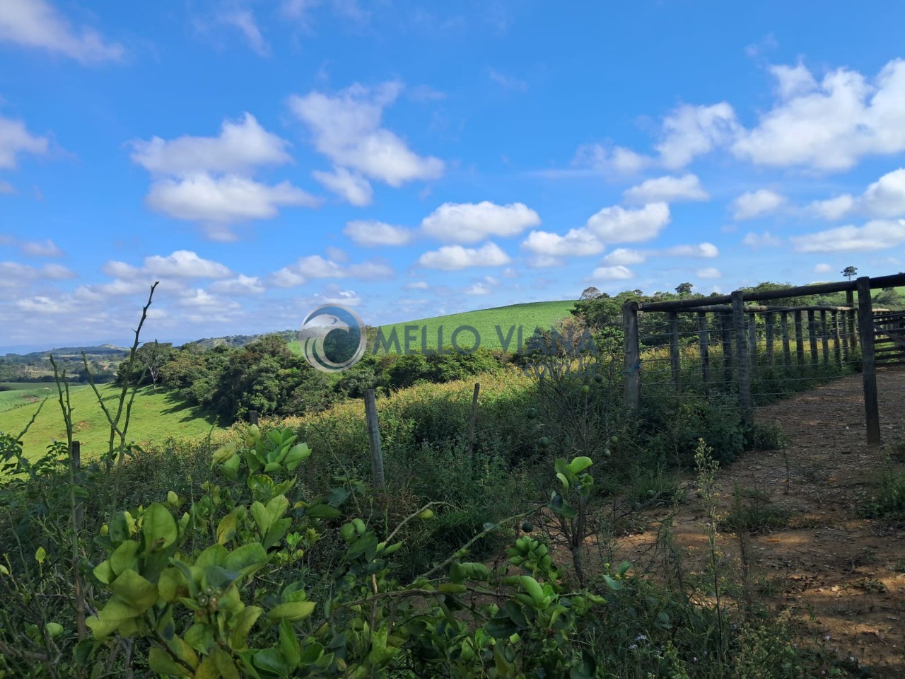 Fazenda, 350 m² - Foto 7