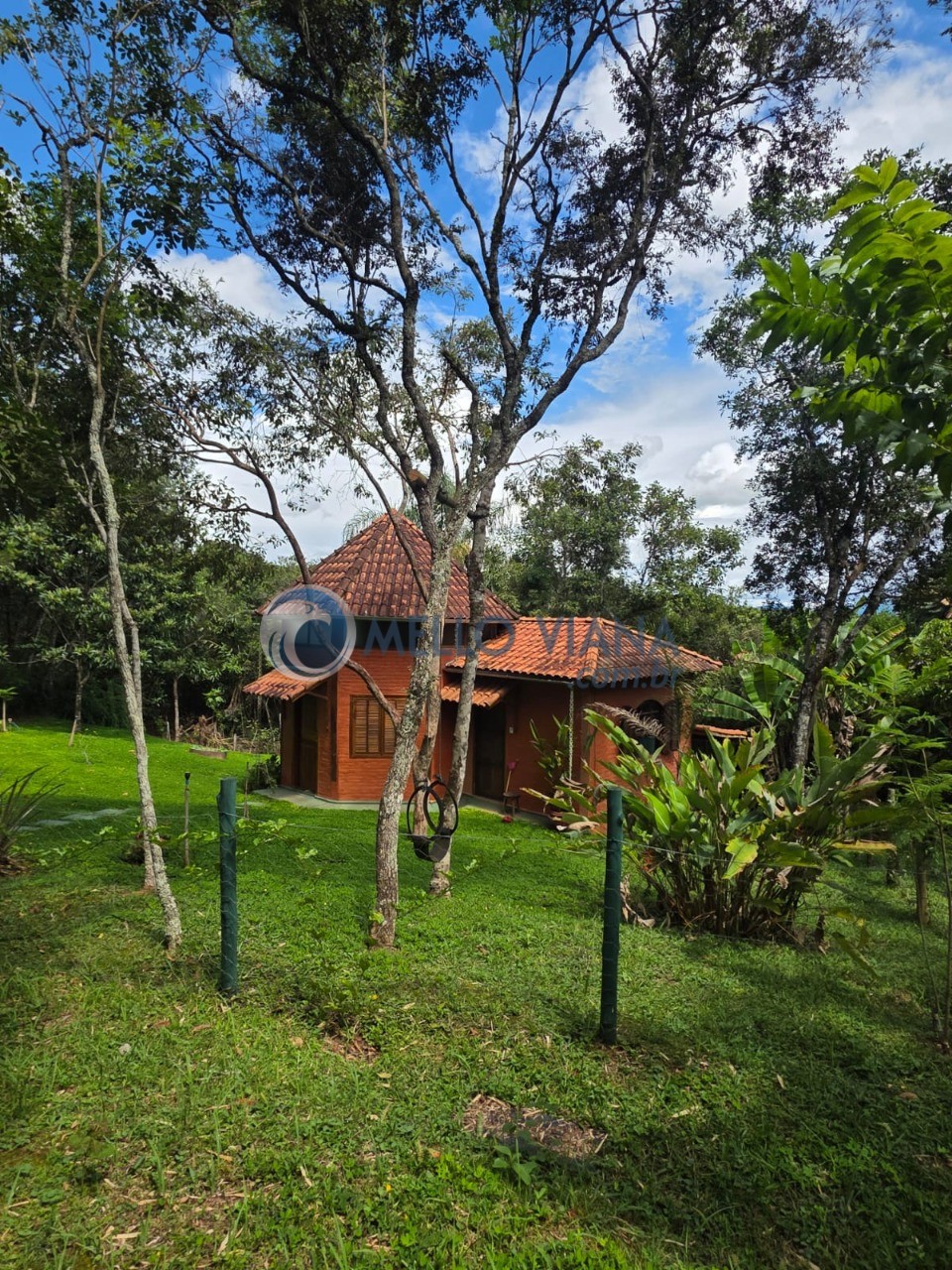 Sítio, 1 quarto, 3374 m² - Foto 6
