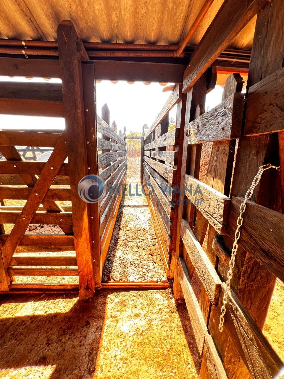 Sítio, 3 quartos, 5 hectares - Foto 25