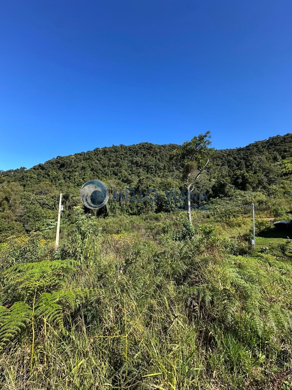 Sítio, 1 quarto, 27 hectares - Foto 19