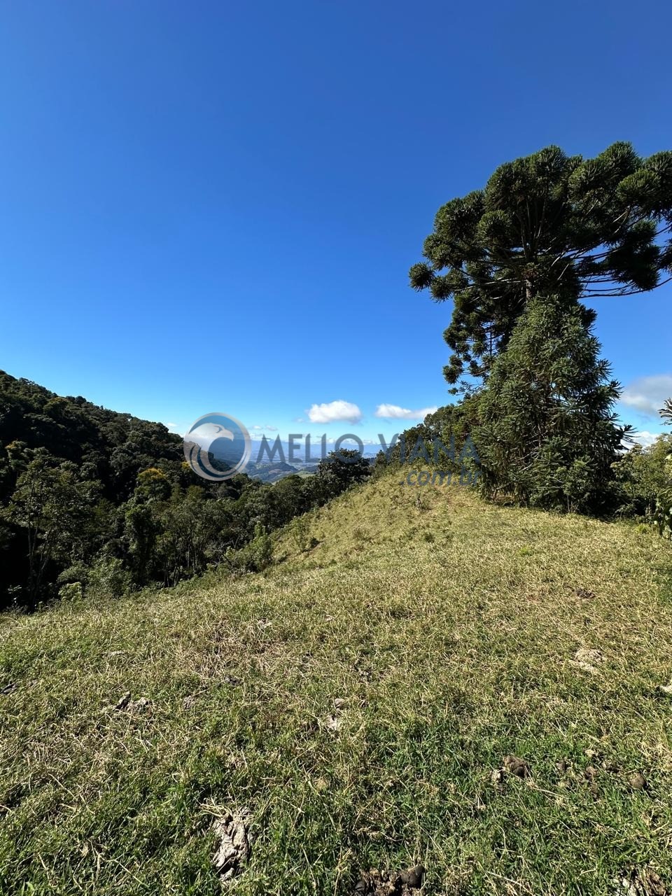Sítio, 1 quarto, 27 hectares - Foto 14