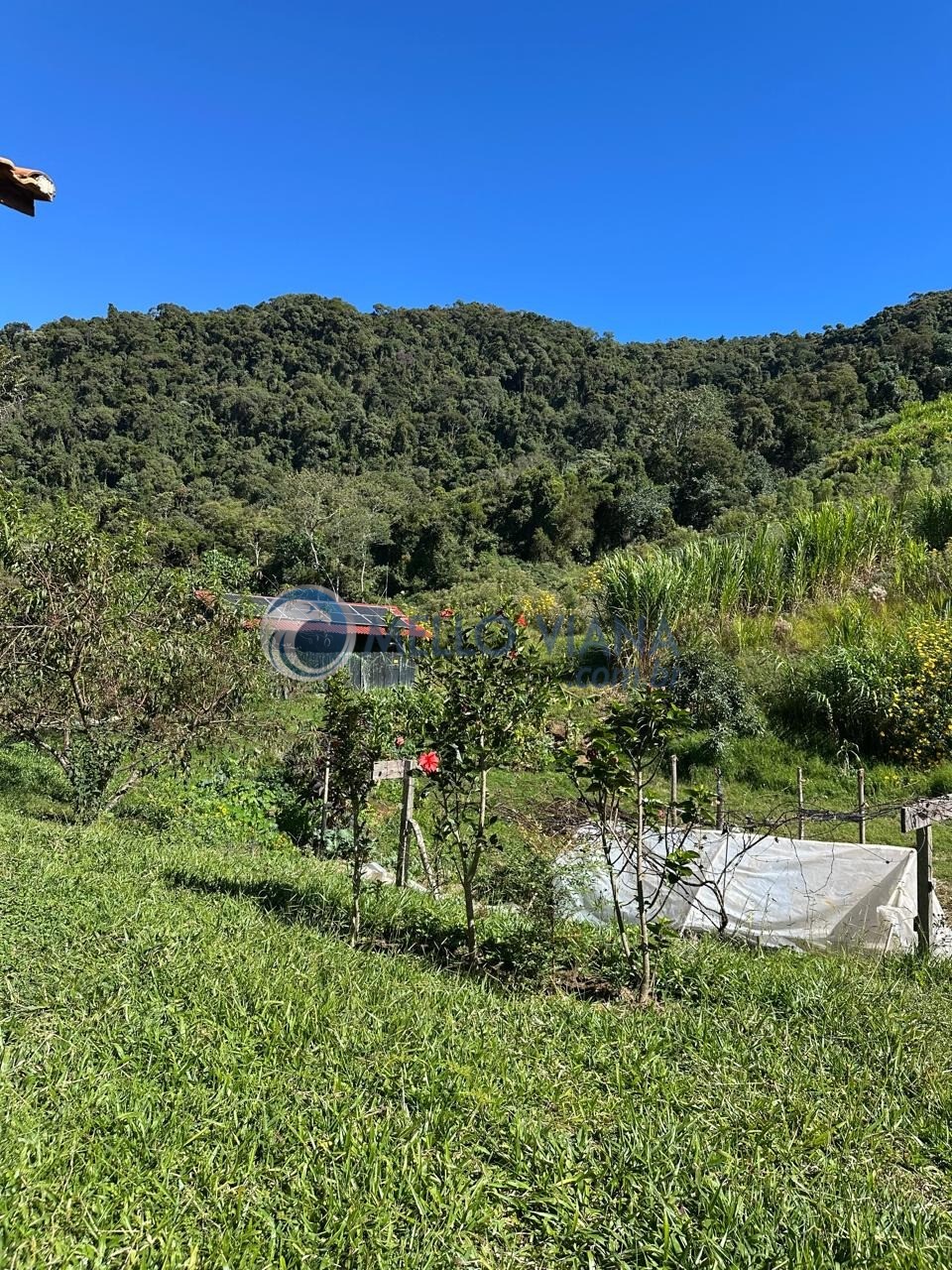 Sítio, 1 quarto, 27 hectares - Foto 2