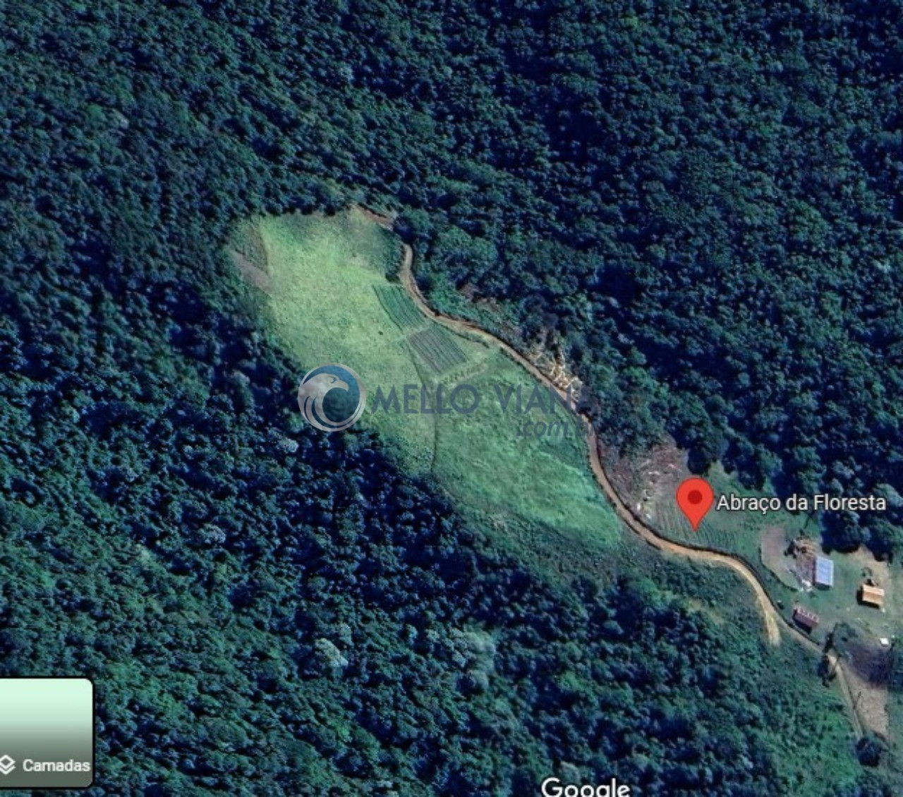 Sítio, 1 quarto, 27 hectares - Foto 8
