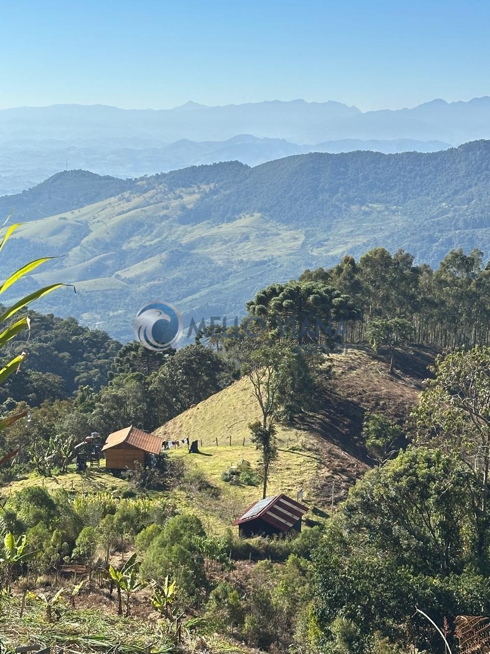 Sítio, 1 quarto, 27 hectares - Foto 1