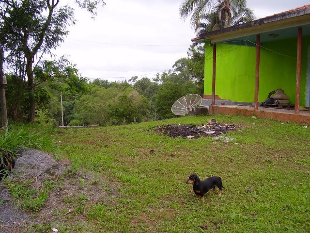 Foto 3
