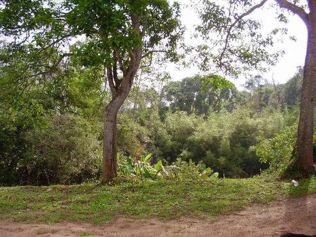 Terreno, 5409 m² - Foto 16