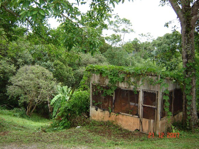 Terreno, 5409 m² - Foto 21