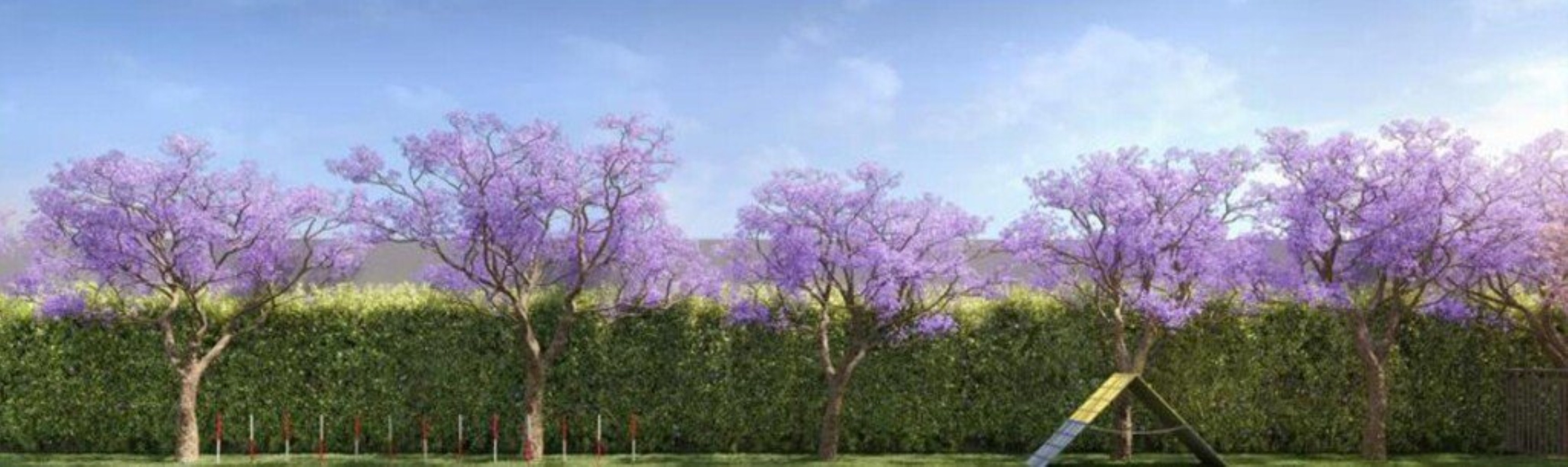 Apartamento, 3 quartos, 76 m² - Foto 20