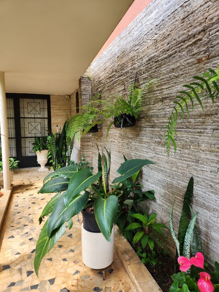 Casa, 4 quartos, 280 m² - Foto 41