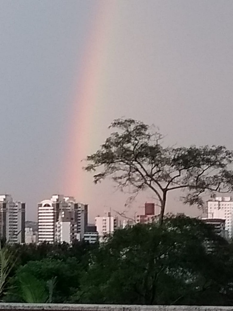Cobertura à venda com 3 quartos, 140m² - Foto 8