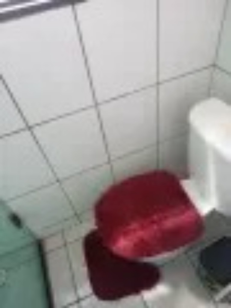 Apartamento, 2 quartos, 52 m² - Foto 3