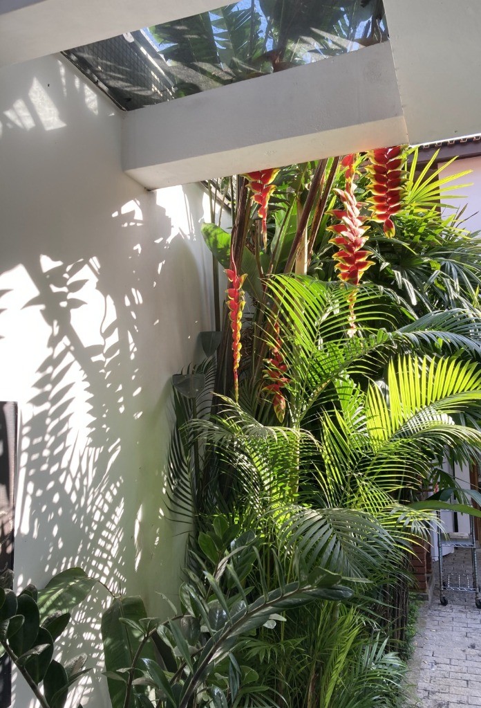 Casa, 5 quartos, 300 m² - Foto 5