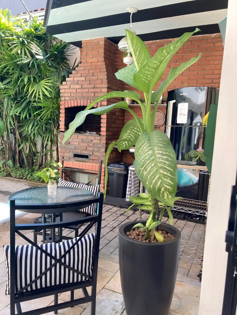 Casa, 5 quartos, 300 m² - Foto 24