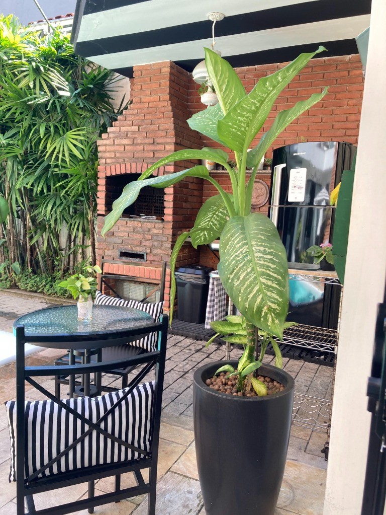 Casa, 5 quartos, 300 m² - Foto 25