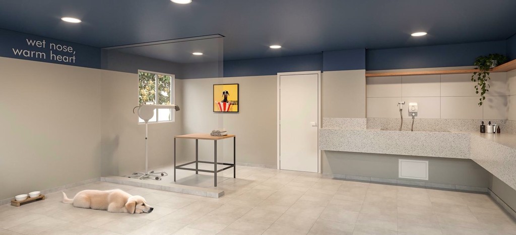 Apartamento, 2 quartos, 37 m² - Foto 14