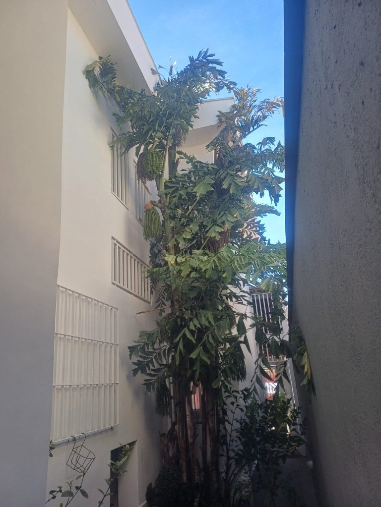 Casa, 3 quartos, 136 m² - Foto 37