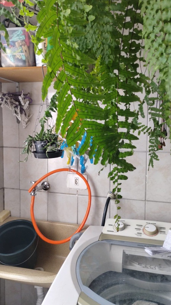 Apartamento, 2 quartos, 51 m² - Foto 3