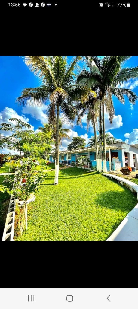 Sítio, 4 quartos, 3000 m² - Foto 3