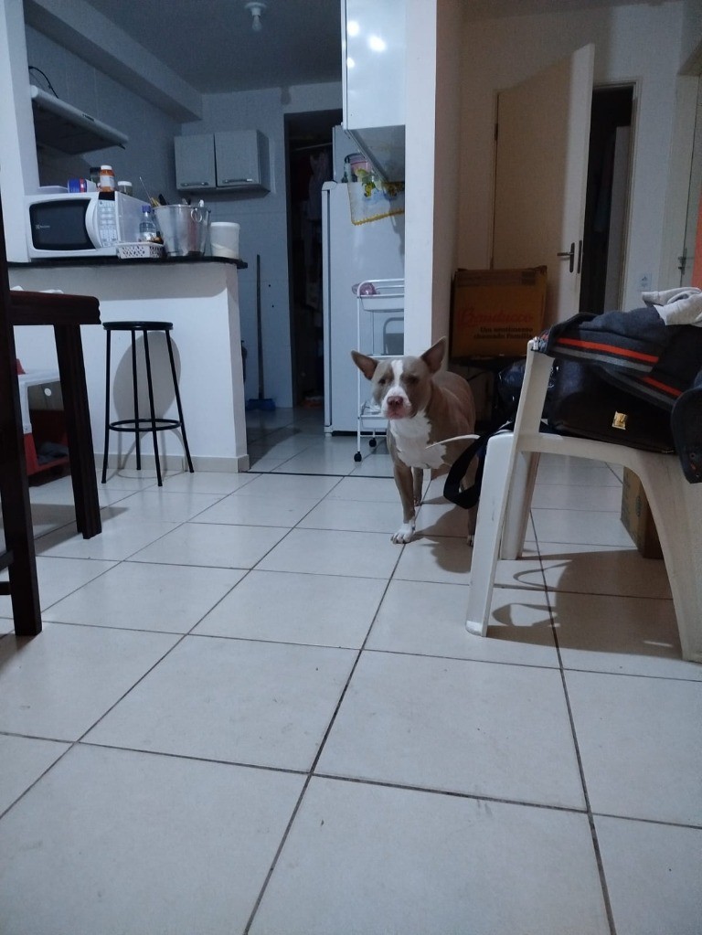 Apartamento, 2 quartos, 58 m² - Foto 2