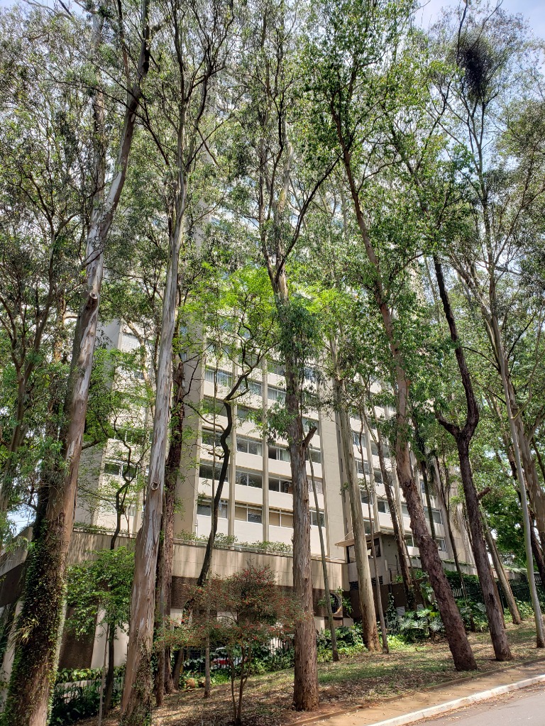 Apartamento, 4 quartos, 220 m² - Foto 15