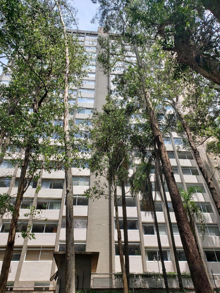 Apartamento, 4 quartos, 220 m² - Foto 17