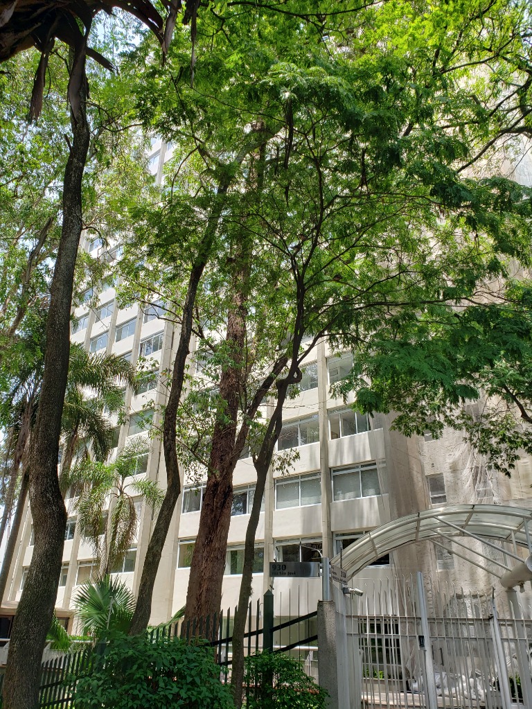 Apartamento, 4 quartos, 220 m² - Foto 18