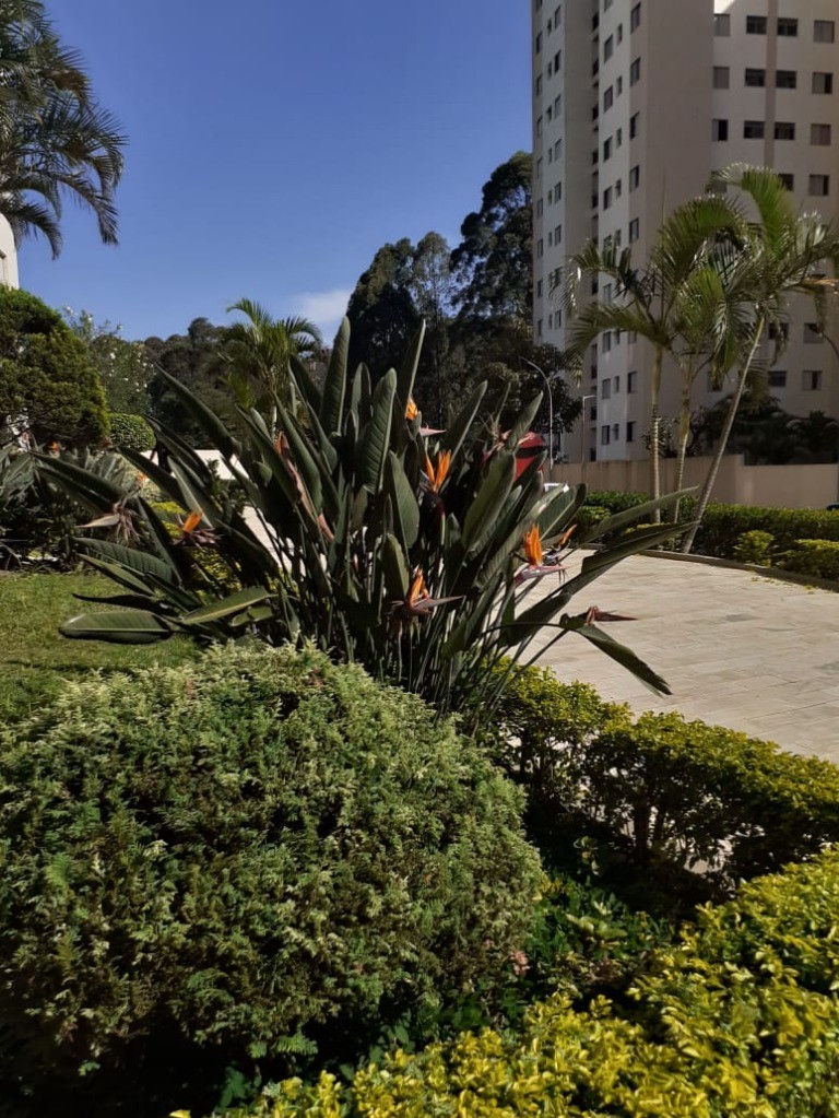 Apartamento, 3 quartos, 67 m² - Foto 55