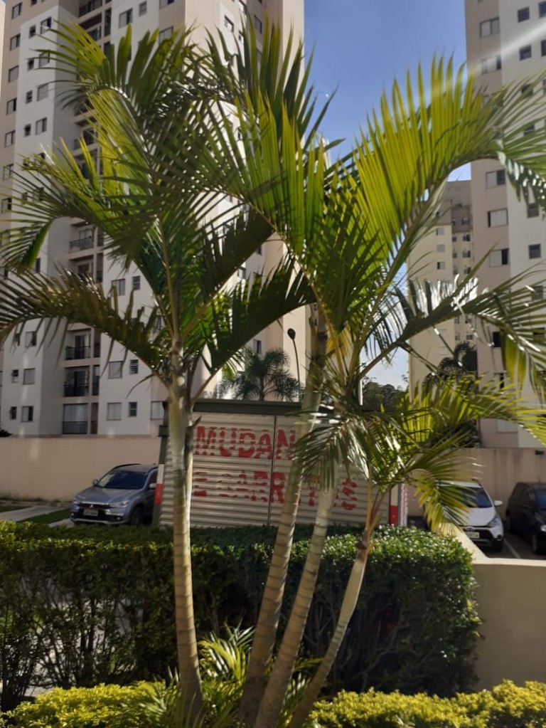 Apartamento, 3 quartos, 67 m² - Foto 49
