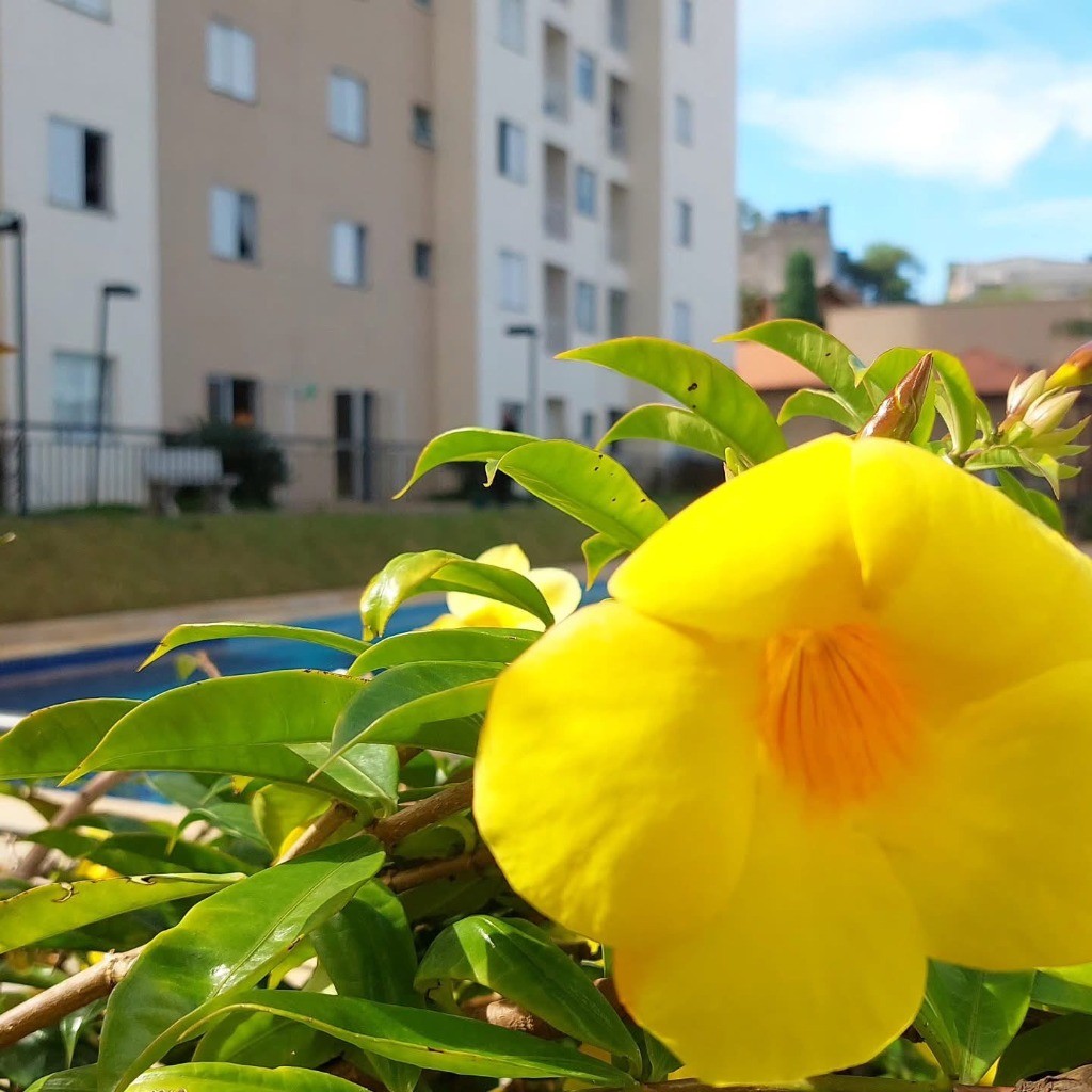 Apartamento, 2 quartos, 48 m² - Foto 48