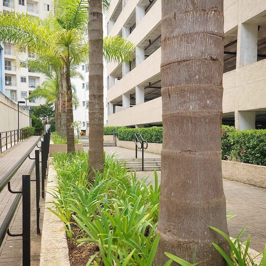 Apartamento, 2 quartos, 48 m² - Foto 55