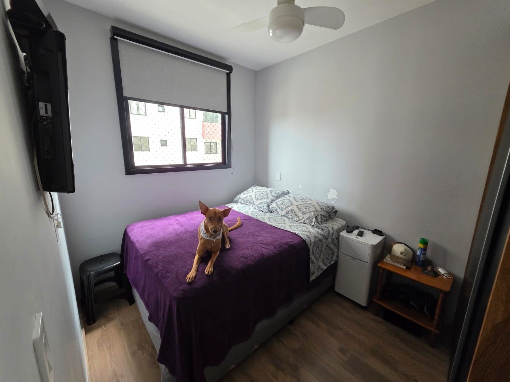 Apartamento, 2 quartos, 39 m² - Foto 3