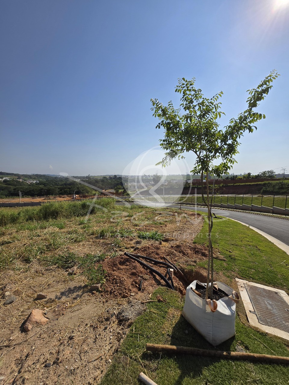 Terreno, 824 m² - Foto 5