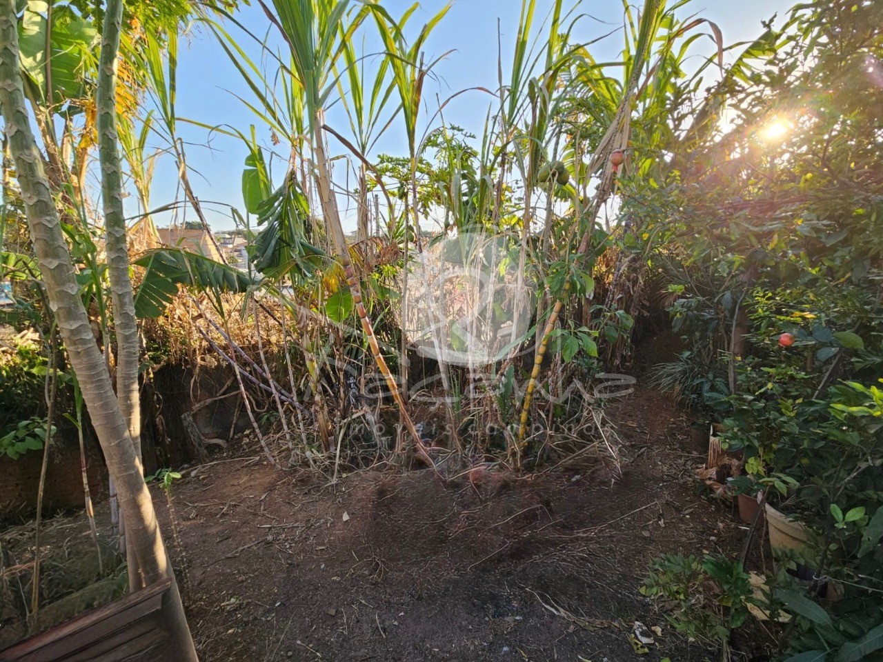 Terreno, 313 m² - Foto 4