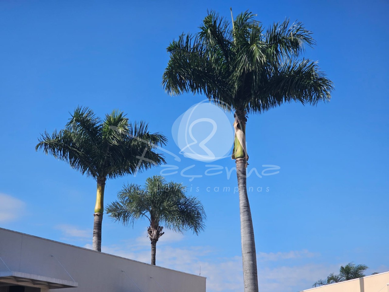 Apartamento, 2 quartos, 77 m² - Foto 24