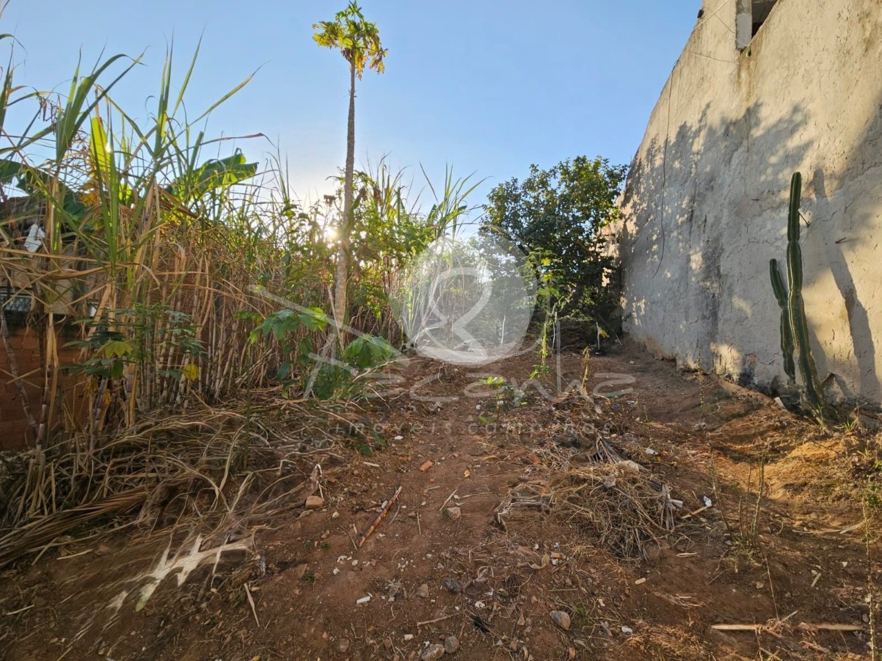 Terreno, 313 m² - Foto 12