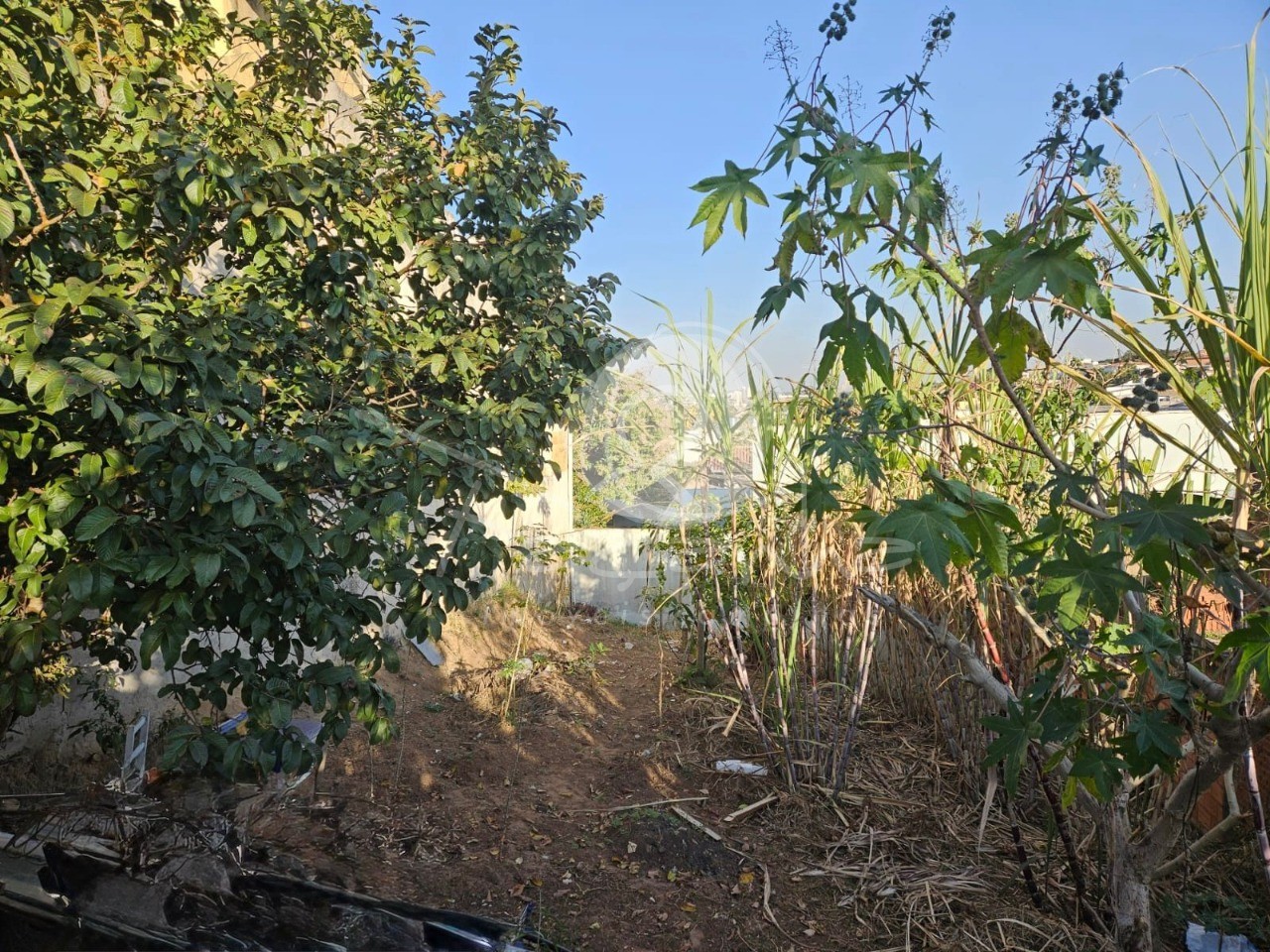 Terreno, 313 m² - Foto 11