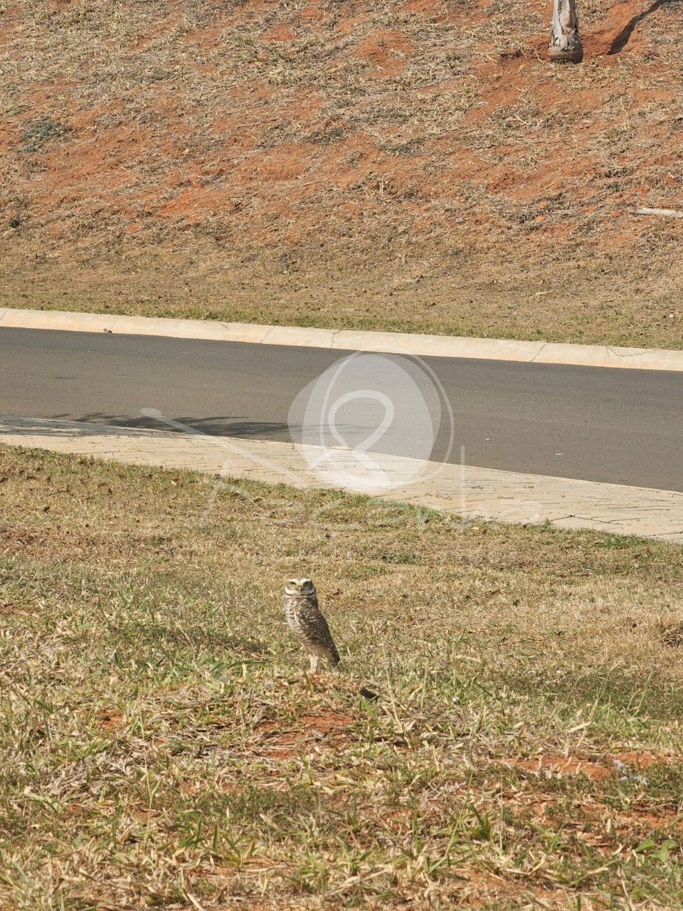 Terreno, 2500 m² - Foto 20