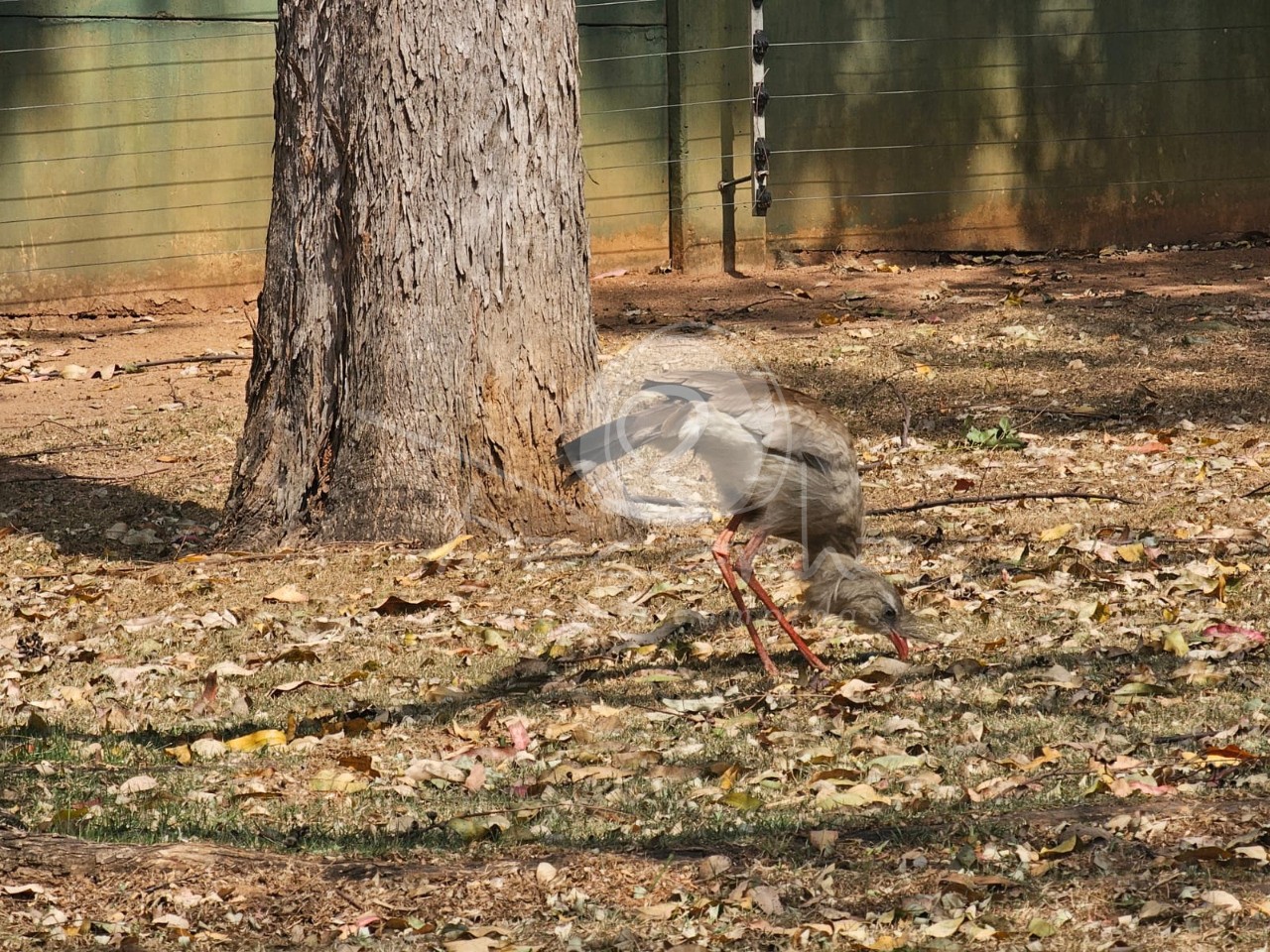 Terreno, 2500 m² - Foto 8