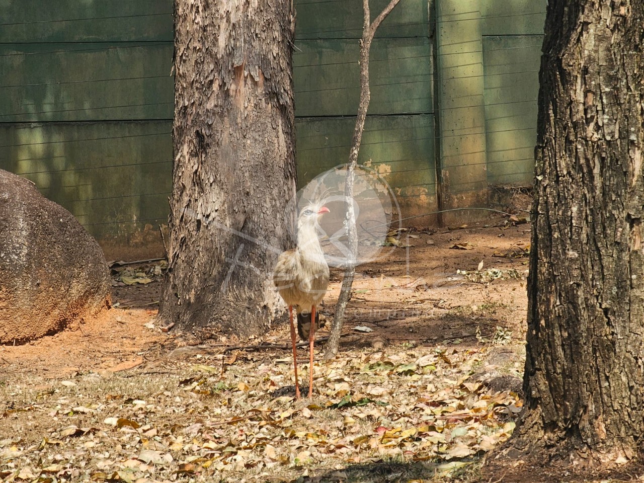 Terreno, 2500 m² - Foto 9