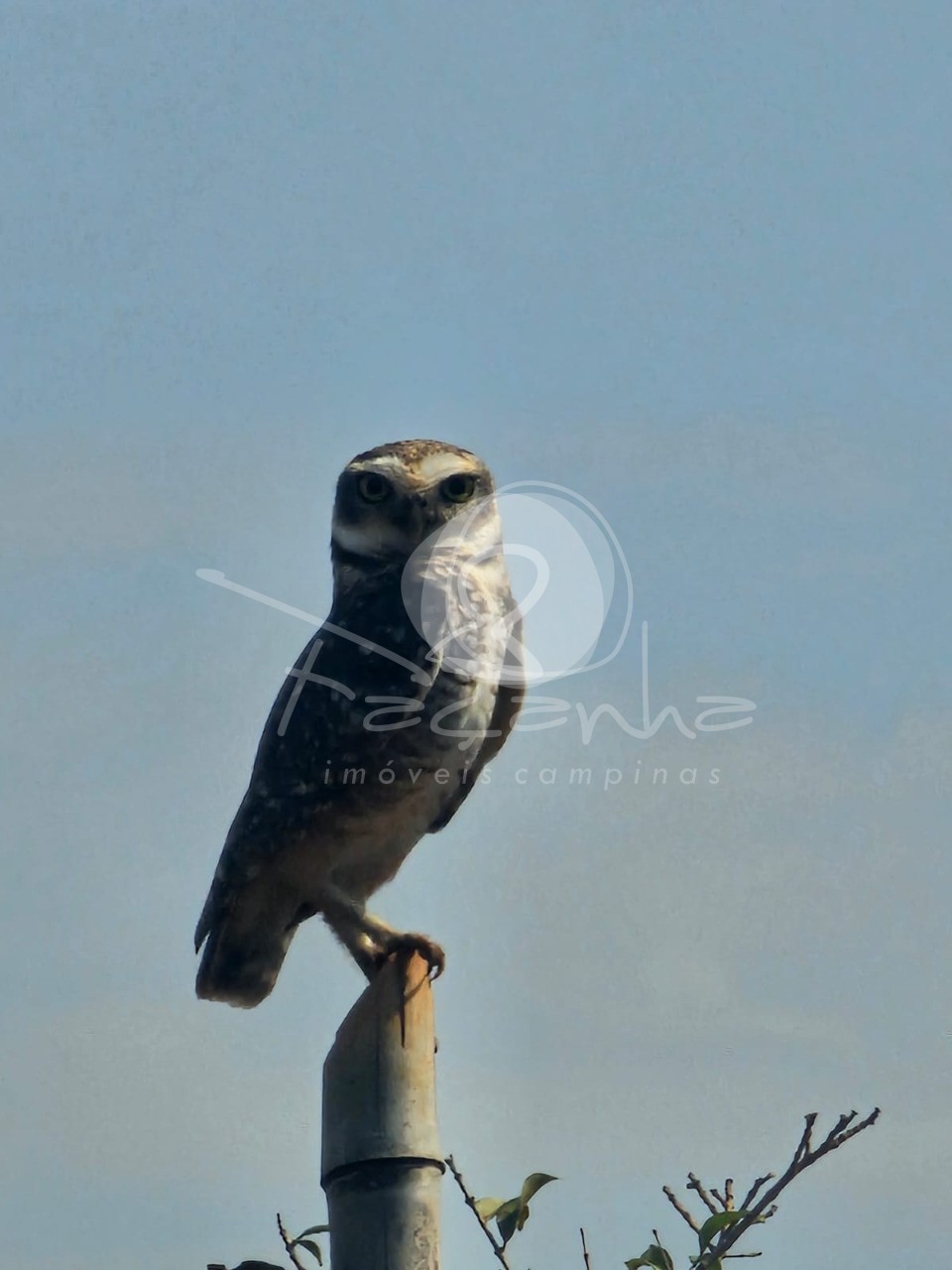 Terreno, 2500 m² - Foto 15