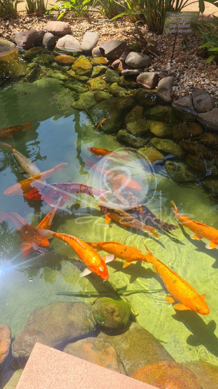 Apartamento, 3 quartos, 102 m² - Foto 40