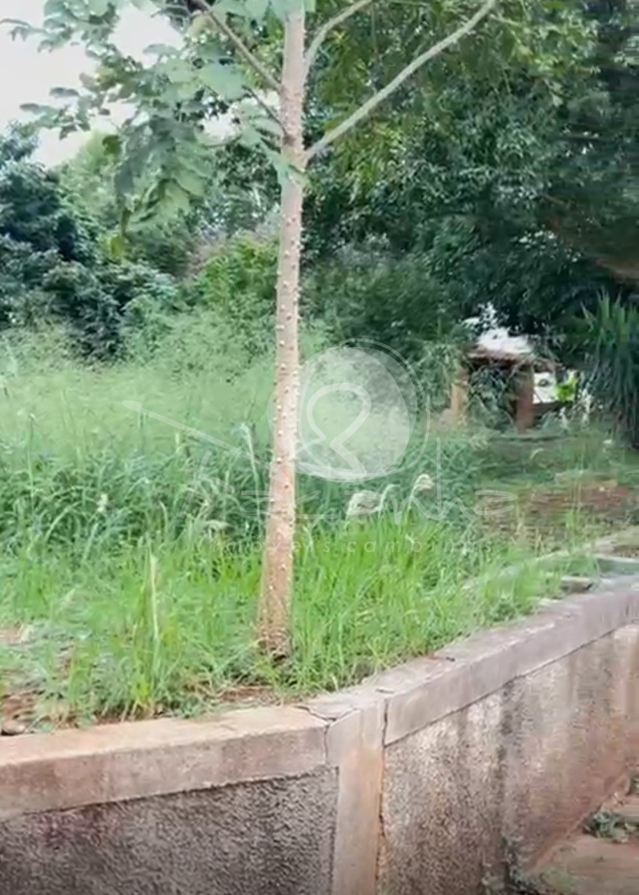 Terreno, 2000 m² - Foto 3